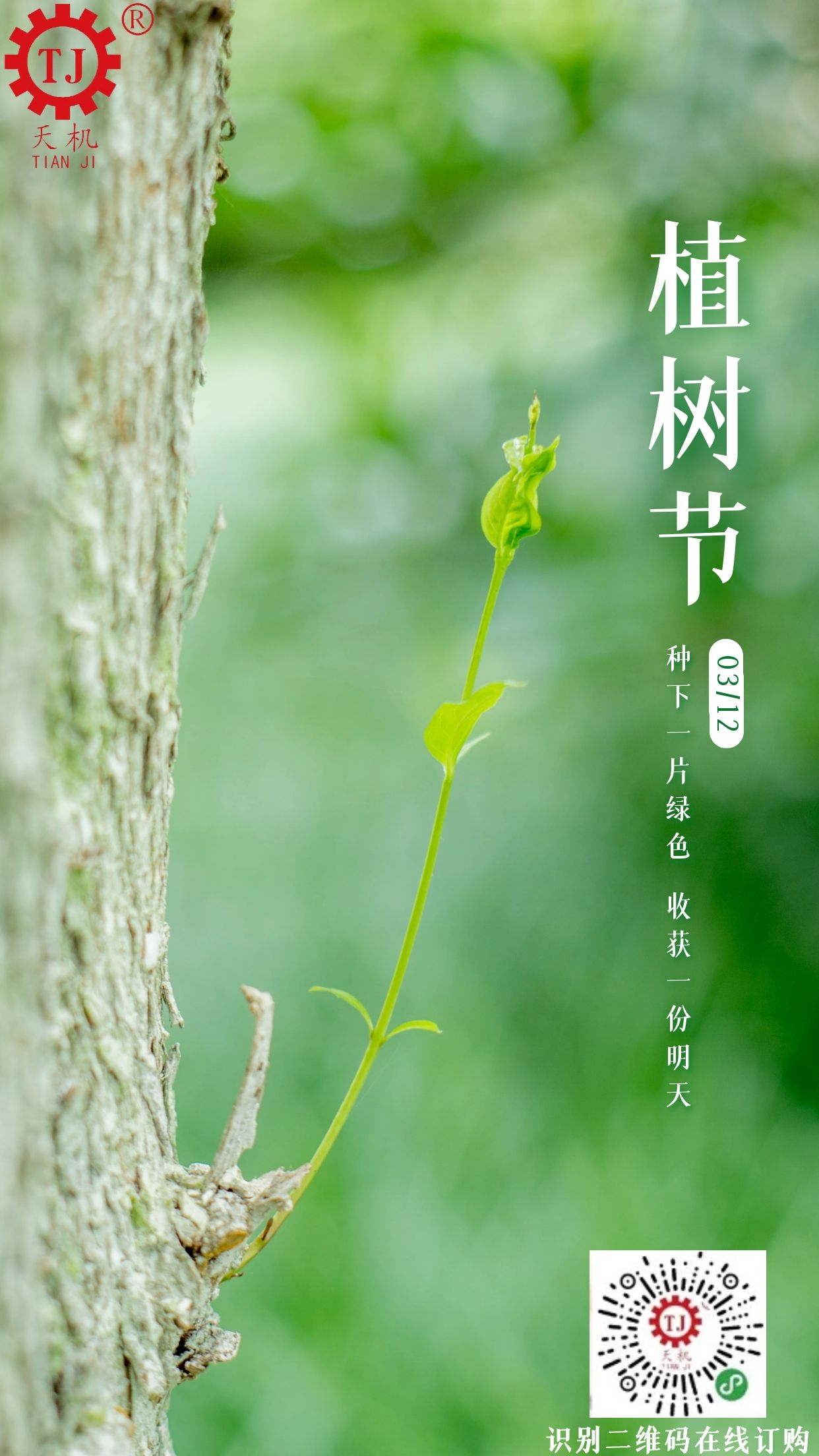 植樹節(jié)